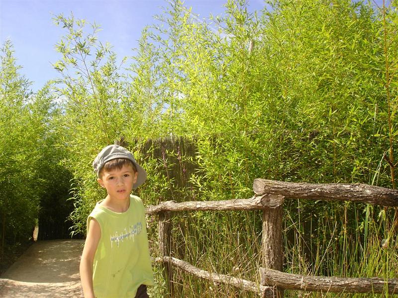 Parc des oiseaux (22)
